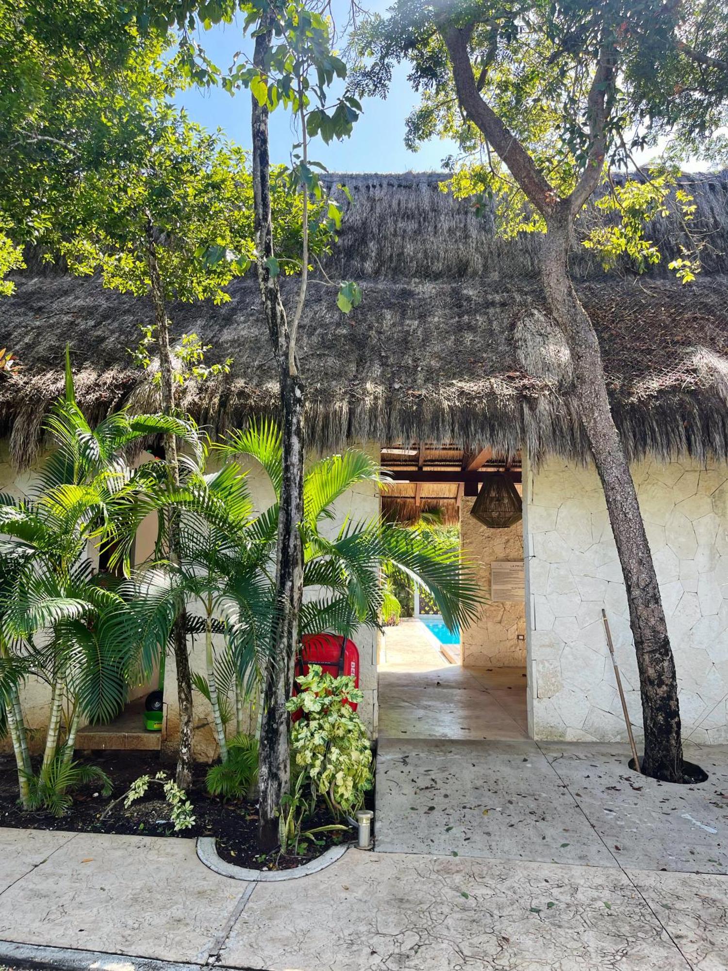 Villa Tikal 툴룸 외부 사진
